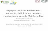 Pago por servicios ambientales: concepto, definiciones, debates y aplicación al caso de PSA Costa Rica