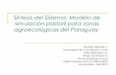 Síntesis del Sistema: Modelo de simulación pastoril para zonas agroecológicas del Paraguay.