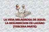 MILAGROS DE JESUS N 9 'LA RESURRECCION DE LAZARO" (Parte 3)
