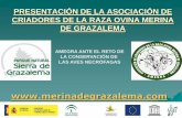 AMEGRA (Asociación de Criadores de la raza Ovina Merina de Grazalema) ante el reto de la conservación de las aves necrófagas