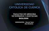 Universidad catolica de cuenca (1)