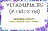 Vitamina b6 zhenia (pp tminimizer)
