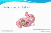 Helicobacter pylori Update 2014
