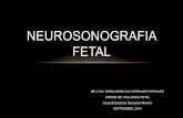 Neurosonografia fetal