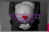 Infecciones agudas y cronicas en el embarazo exposicion