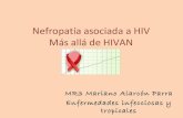 Nefropatía asociada a HIV. Más allá del HIVAN