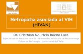 HIVAN (Nefropatía asociada al VIH)  Evidencia al 2015