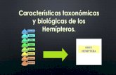 Características taxonómicas y biológicas de los hemípteros