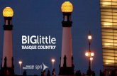 BIGlittle Invest (Euskera)