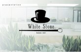 Presentation logo white stone   mister white