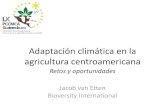 Adaptación climática en la agricultura centroamericana