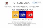 Chikungunya. Universidad del Norte.