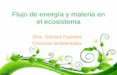Flujo de energía y materia en el ecosistema