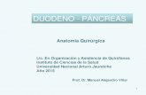 Anatomia Quirurgica del Duodeno Páncreas 2015