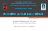 Esclerosis lateral amiotrófica