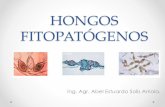 Estructuras de reproducción sexual y asexual de hongos fitopatógenos