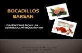 COMERCIALIZADORA DE BOCADILLOS BARSAN