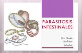 Parasitosis intestinales