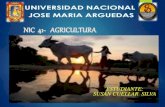 Nic  41    agricultura-