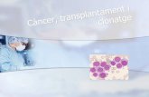 CàNcer, Transplantament I Clonatge
