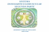 Sistema osteoarticulomuscular parte 2