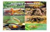 Plantilla publicacio dossier zoologic invertebrats