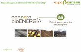 Cerdanya (Girona) en la gestión forestal y uso energético agrupados de la biomasa