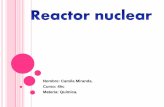 Reactor nuclear quimica
