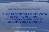 El jurásico medio a superior en el centro del Perú: formaciones Chunumayo, Cercapuquio y Chaucha