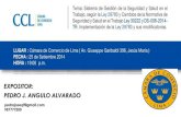 CAMBIOS DE LA NORMATIVA DE SEGURIDAD Y SALUD EN EL TRABAJO LEY 29783 LEY 30222 - CCL