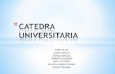 Vicerrectoria de bienestar universitario - Catedra Universitaria