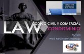 Código Civil y Comercial Derecho real de Condominio
