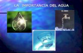 Importancia del agua para el cerebro - EL JAVI LAYÚS