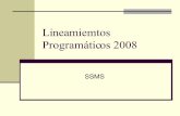 Lineamiemtos ProgramáTicos 2008 PresentacióN
