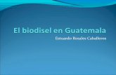 El biodisel en guatemala