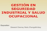 Gestión en Seguridad Industrial y Salud Ocupacional