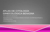 Atlas de citología ginecológica benigna