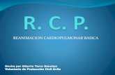 Reanimación Cardiopulmonar (Alberto Torre - P.C. Ávila)