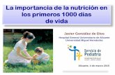 Nutrición en primeros 1000 días de vida (alicante 2015)
