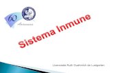 Copia De Sistema Inmuneprueba3