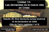 46 dios demanda_pureza_doctrinal (Estudio Bíblico en 2 Pedro)