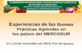 Henrique Troilo - “Experiencias de las Buenas Prácticas Agrícolas en los países del MERCOSUR” - Boas Práticas Agropecuárias e Produção Integrada - De 11 a 14 de novembro