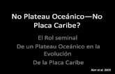 No plateau oceánico—no placa caribe