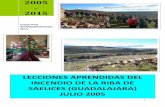 Documento de conclusiones lecciones aprendidas del incendio de la riba de saelices guadalajara2005