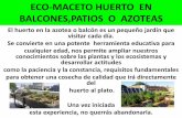Eco maceto huerto  en balcones,patios  o  azoteas (1)