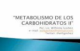 Metabolismo de los carbohidratos II