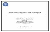 Clase 2 Unidad De OrganizacióN BiolóGica