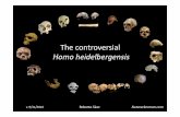 La extinción de homo heidelbergensis