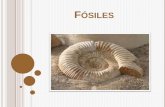 Fósiles (3) (1) (1)