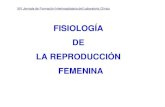 4.  fisiologia reproduccion femenina